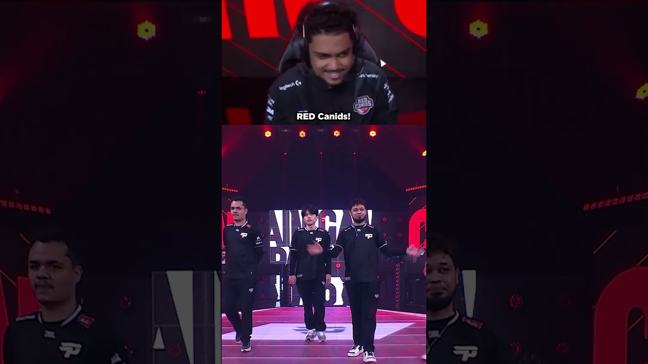 O Tatu TEM essa cantoria na #LTASul 🎵